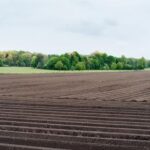 2025041期开奖结果公布最新中奖号码揭晓 5riyue5c2