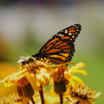 3d试机号开奖号码最新结果查询与历史数据分析 97ka0h10nt