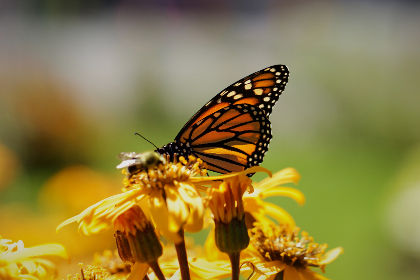 3d试机号开奖号码最新结果查询与历史数据分析 3d试机号开奖号码最新结果查询与历史数据分析
