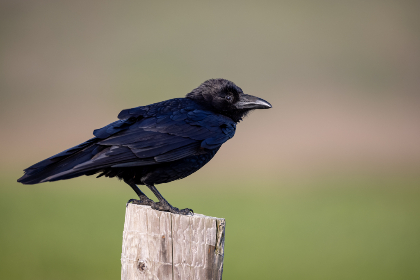 2025024期开奖结果公布,幸运号码震撼揭晓 2025024期开奖结果公布,幸运号码震撼揭晓