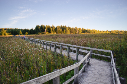 2025031期开奖结果最新公布与详细分析