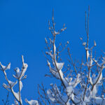 2025039期双色球开奖全程实况视频回顾 b9s1d