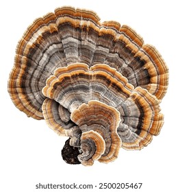 2025021期彩票开奖结果查询与最新号码公布 2025021期彩票开奖结果查询与最新号码公布