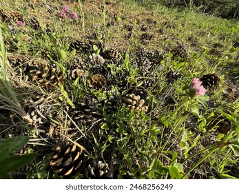 2025030期双色球开奖结果最新公布