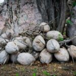 202501期足彩开奖结果及中奖号码公布 f8xd0