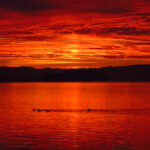 2025037期彩票开奖结果最新公布,大奖花落谁家? fwn1w