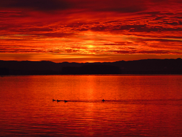 2025037期彩票开奖结果最新公布,大奖花落谁家? 2025037期彩票开奖结果最新公布,大奖花落谁家?