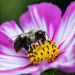 2025041期彩票开奖结果最新公布,大奖花落谁家? si69lzwre