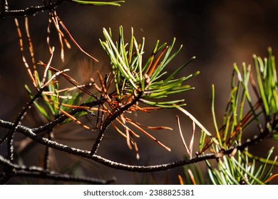 2025034期彩票开奖结果最新公布 2025034期彩票开奖结果最新公布